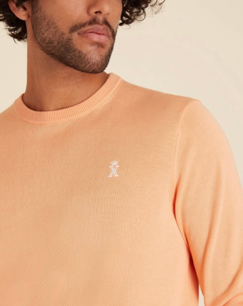 Pull col rond coton Pima Vicomte A