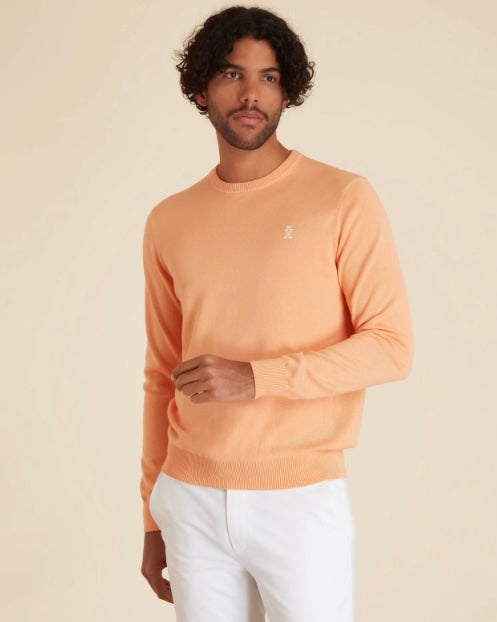 Pull col rond coton Pima Vicomte A